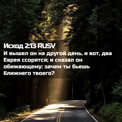 Picture 02 - Исход 2:13 RUSV - И вышел он на другой день, и - Bible Verse Picture
