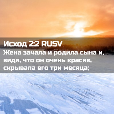 Picture 02 - Исход 2:2 RUSV - Жена зачала и родила сына - Bible Verse Picture