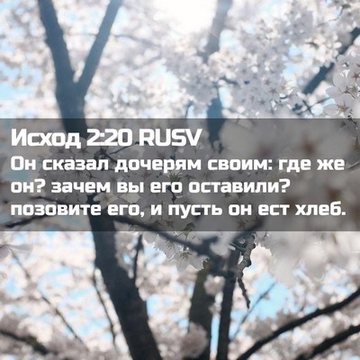 Picture 02 - Исход 2:20 RUSV - Он сказал дочерям своим: - Bible Verse Picture
