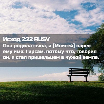 Picture 02 - Исход 2:22 RUSV - Она родила сына, и [Моисей] - Bible Verse Picture