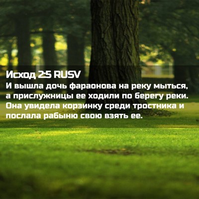 Picture 02 - Исход 2:5 RUSV - И вышла дочь фараонова на - Bible Verse Picture