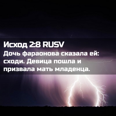Picture 02 - Исход 2:8 RUSV - Дочь фараонова сказала ей: - Bible Verse Picture