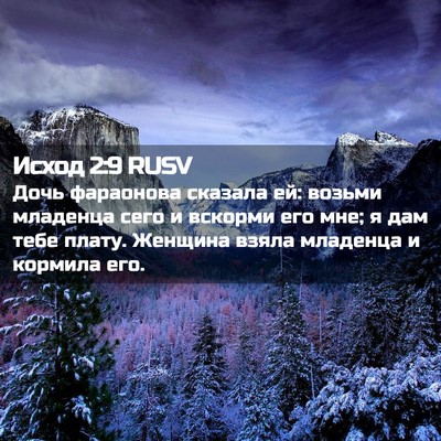Picture 02 - Исход 2:9 RUSV - Дочь фараонова сказала ей: - Bible Verse Picture