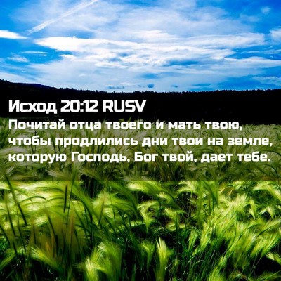 Picture 02 - Исход 20:12 RUSV - Почитай отца твоего и мать - Bible Verse Picture