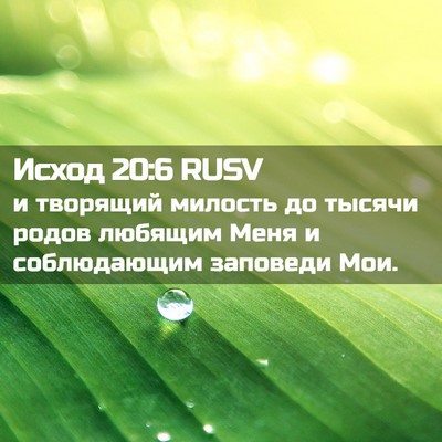 Picture 02 - Исход 20:6 RUSV - и творящий милость до - Bible Verse Picture