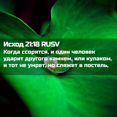 Picture 02 - Исход 21:18 RUSV - Когда ссорятся, и один - Bible Verse Picture