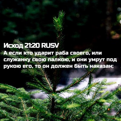 Picture 02 - Исход 21:20 RUSV - А если кто ударит раба - Bible Verse Picture
