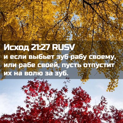 Picture 02 - Исход 21:27 RUSV - и если выбьет зуб рабу - Bible Verse Picture