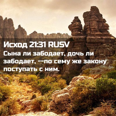 Picture 02 - Исход 21:31 RUSV - Сына ли забодает, дочь ли - Bible Verse Picture