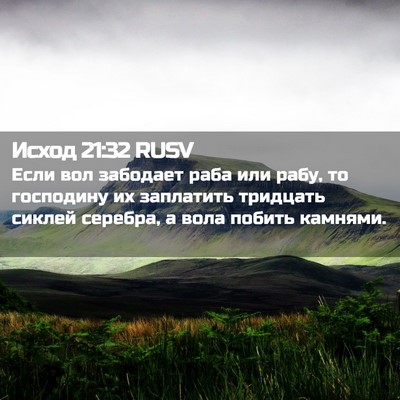 Picture 02 - Исход 21:32 RUSV - Если вол забодает раба или - Bible Verse Picture