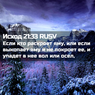 Picture 02 - Исход 21:33 RUSV - Если кто раскроет яму, или - Bible Verse Picture
