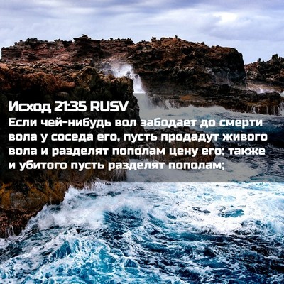 Picture 02 - Исход 21:35 RUSV - Если чей-нибудь вол - Bible Verse Picture