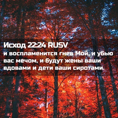 Picture 02 - Исход 22:24 RUSV - и воспламенится гнев Мой, и - Bible Verse Picture
