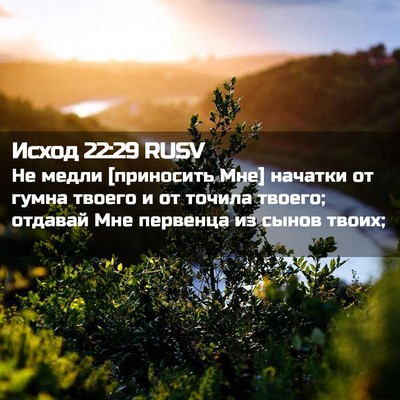 Picture 02 - Исход 22:29 RUSV - Не медли [приносить Мне] - Bible Verse Picture