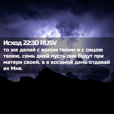 Picture 02 - Исход 22:30 RUSV - то же делай с волом твоим и - Bible Verse Picture