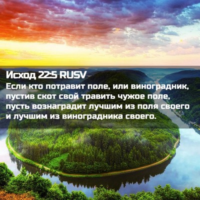 Picture 02 - Исход 22:5 RUSV - Если кто потравит поле, или - Bible Verse Picture