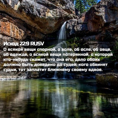 Picture 02 - Исход 22:9 RUSV - О всякой вещи спорной, о - Bible Verse Picture