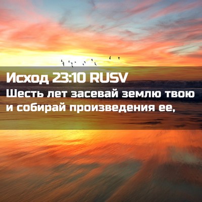 Picture 02 - Исход 23:10 RUSV - Шесть лет засевай землю - Bible Verse Picture