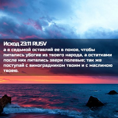 Picture 02 - Исход 23:11 RUSV - а в седьмой оставляй ее в - Bible Verse Picture