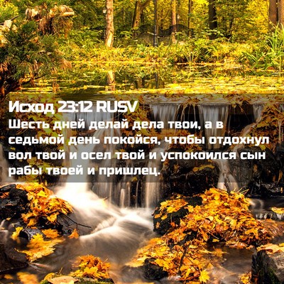 Picture 02 - Исход 23:12 RUSV - Шесть дней делай дела твои, - Bible Verse Picture