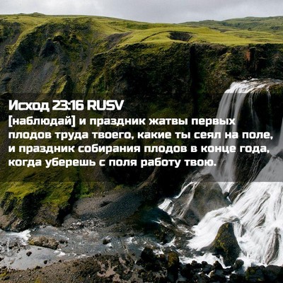 Picture 02 - Исход 23:16 RUSV - [наблюдай] и праздник жатвы - Bible Verse Picture