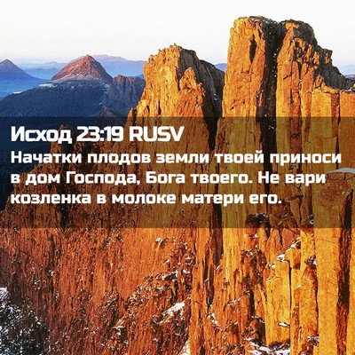 Picture 02 - Исход 23:19 RUSV - Начатки плодов земли твоей - Bible Verse Picture