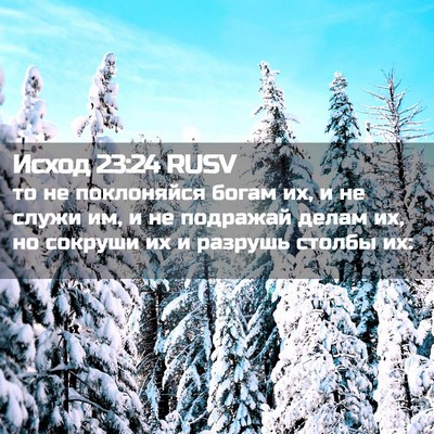 Picture 02 - Исход 23:24 RUSV - то не поклоняйся богам их, - Bible Verse Picture