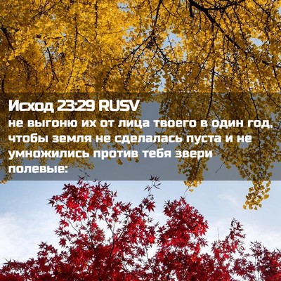 Picture 02 - Исход 23:29 RUSV - не выгоню их от лица твоего - Bible Verse Picture