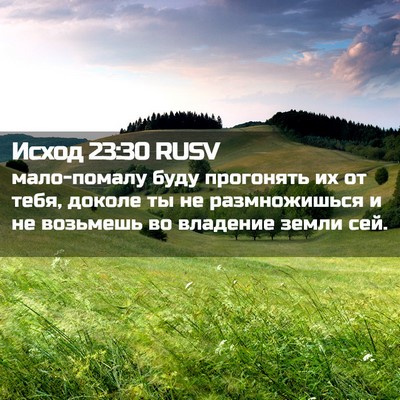 Picture 02 - Исход 23:30 RUSV - мало-помалу буду прогонять - Bible Verse Picture