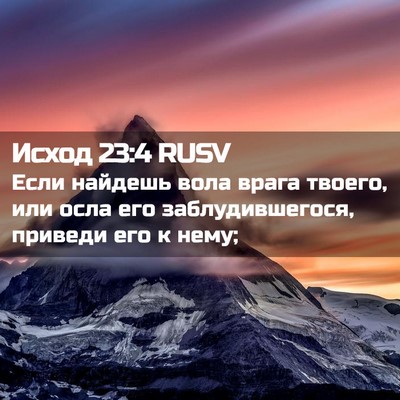 Picture 02 - Исход 23:4 RUSV - Если найдешь вола врага - Bible Verse Picture