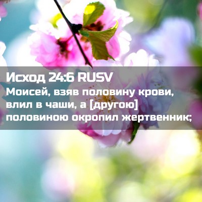 Picture 02 - Исход 24:6 RUSV - Моисей, взяв половину - Bible Verse Picture