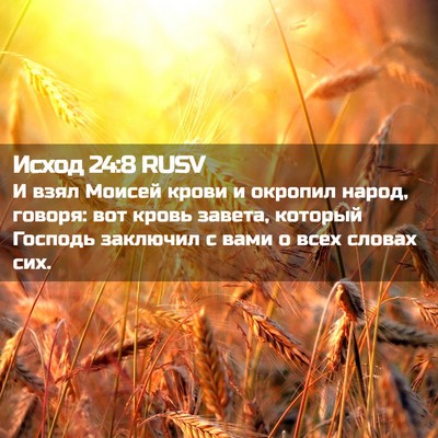 Picture 02 - Исход 24:8 RUSV - И взял Моисей крови и - Bible Verse Picture