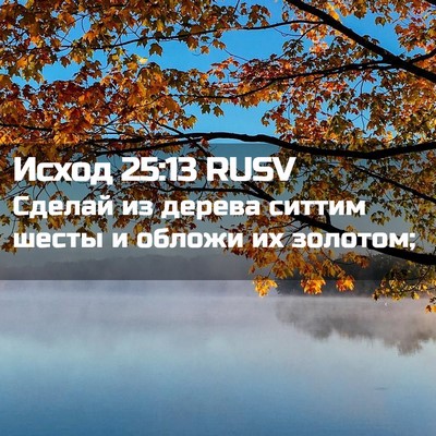 Picture 02 - Исход 25:13 RUSV - Сделай из дерева ситтим - Bible Verse Picture