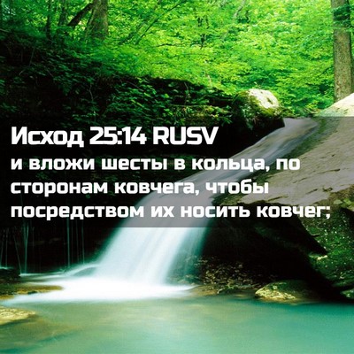 Picture 02 - Исход 25:14 RUSV - и вложи шесты в кольца, по - Bible Verse Picture