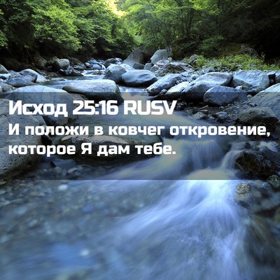 Picture 02 - Исход 25:16 RUSV - И положи в ковчег - Bible Verse Picture