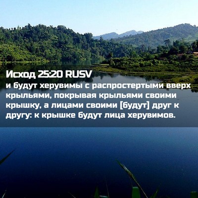 Picture 02 - Исход 25:20 RUSV - и будут херувимы с - Bible Verse Picture