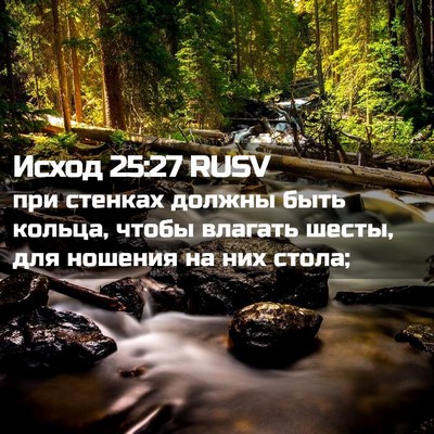 Picture 02 - Исход 25:27 RUSV - при стенках должны быть - Bible Verse Picture