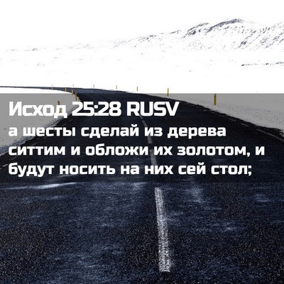 Picture 02 - Исход 25:28 RUSV - а шесты сделай из дерева - Bible Verse Picture