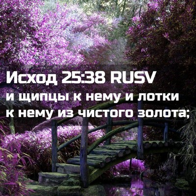 Picture 02 - Исход 25:38 RUSV - и щипцы к нему и лотки к - Bible Verse Picture