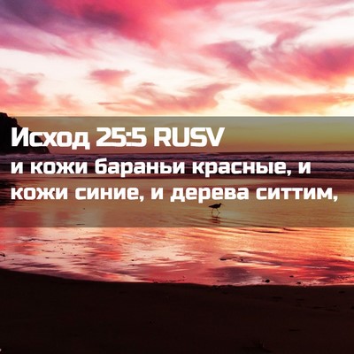 Picture 02 - Исход 25:5 RUSV - и кожи бараньи красные, и - Bible Verse Picture