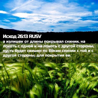 Picture 02 - Исход 26:13 RUSV - а излишек от длины - Bible Verse Picture