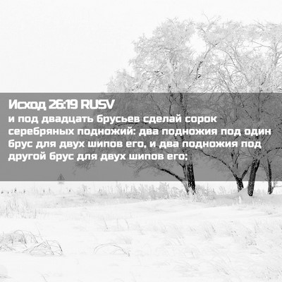 Picture 02 - Исход 26:19 RUSV - и под двадцать брусьев - Bible Verse Picture