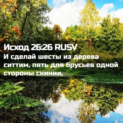 Picture 02 - Исход 26:26 RUSV - И сделай шесты из дерева - Bible Verse Picture