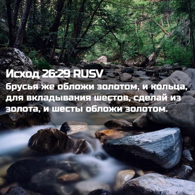Picture 02 - Исход 26:29 RUSV - брусья же обложи золотом, и - Bible Verse Picture