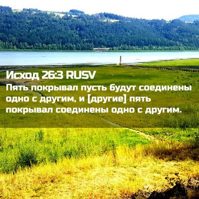 Picture 02 - Исход 26:3 RUSV - Пять покрывал пусть будут - Bible Verse Picture
