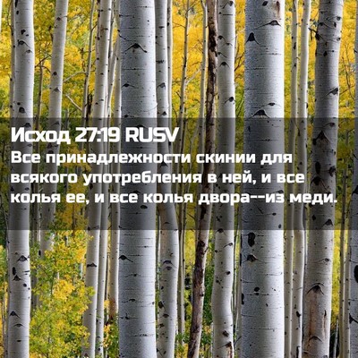 Picture 02 - Исход 27:19 RUSV - Все принадлежности скинии - Bible Verse Picture