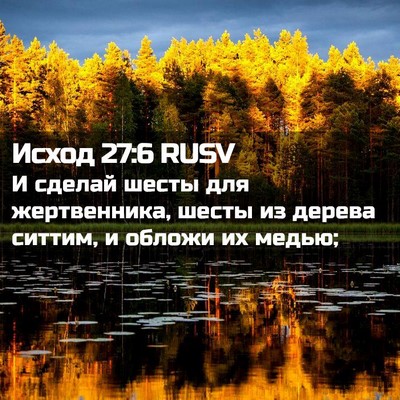 Picture 02 - Исход 27:6 RUSV - И сделай шесты для - Bible Verse Picture