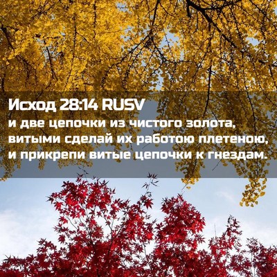 Picture 02 - Исход 28:14 RUSV - и две цепочки из чистого - Bible Verse Picture
