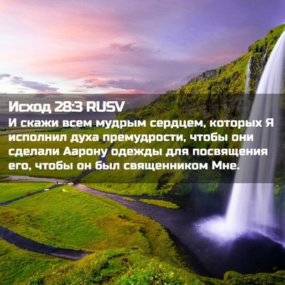 Picture 02 - Исход 28:3 RUSV - И скажи всем мудрым - Bible Verse Picture