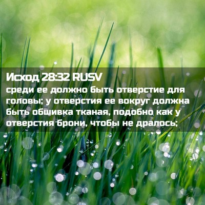 Picture 02 - Исход 28:32 RUSV - среди ее должно быть - Bible Verse Picture